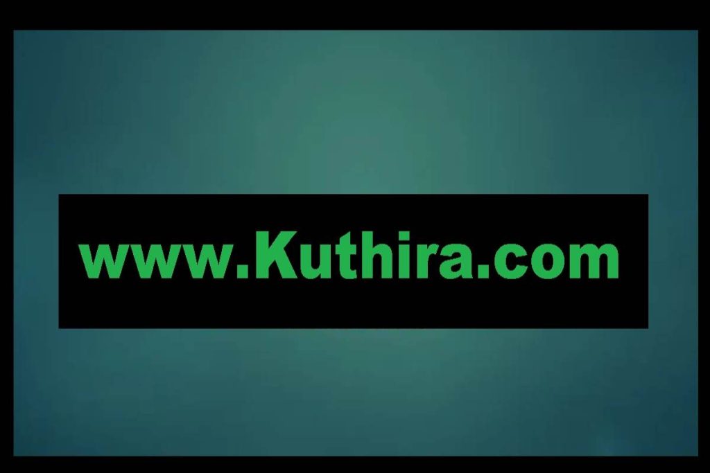 www. kuthira. com